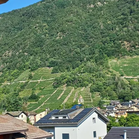 Valtellinahome *