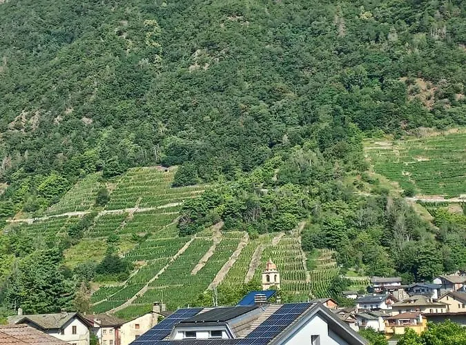Valtellinahome *